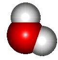 CITRUS UNSHIU EXTRACT